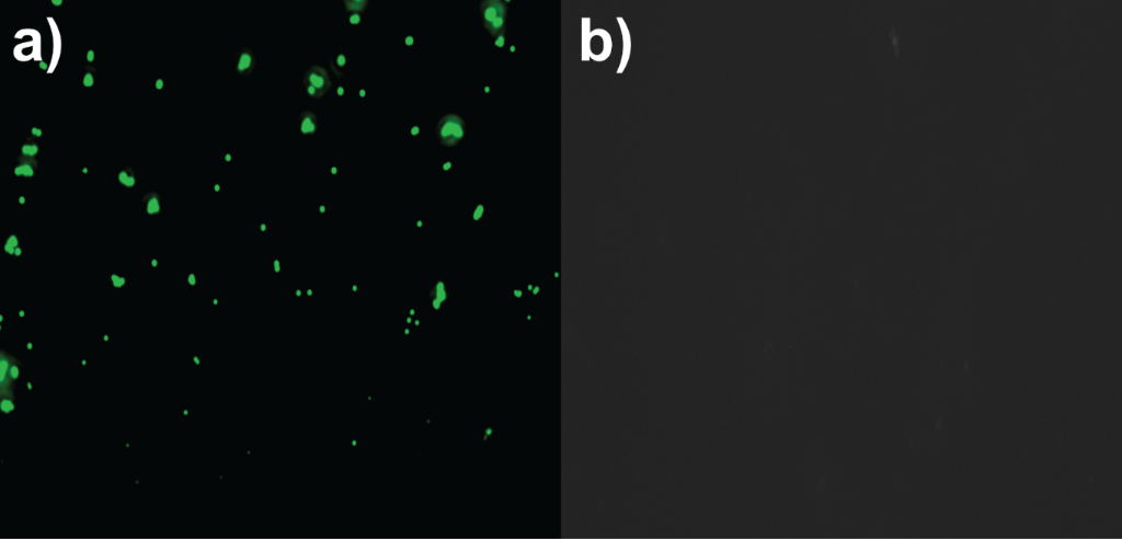 [1860-5397-14-171-7]