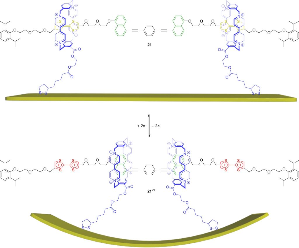 [1860-5397-14-190-19]