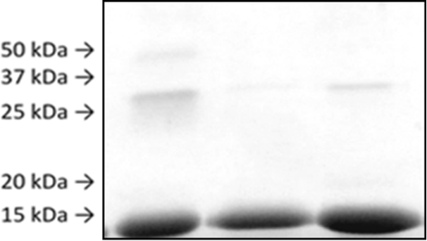 [1860-5397-14-197-6]