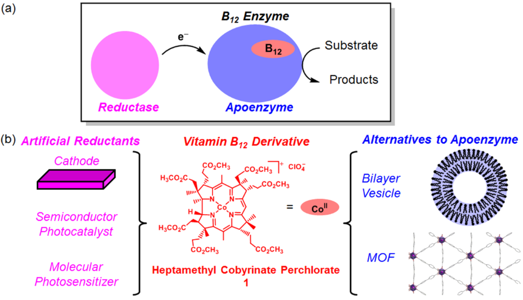 [1860-5397-14-232-2]