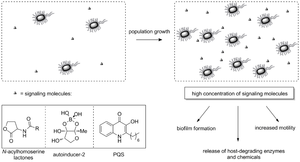 [1860-5397-14-239-5]