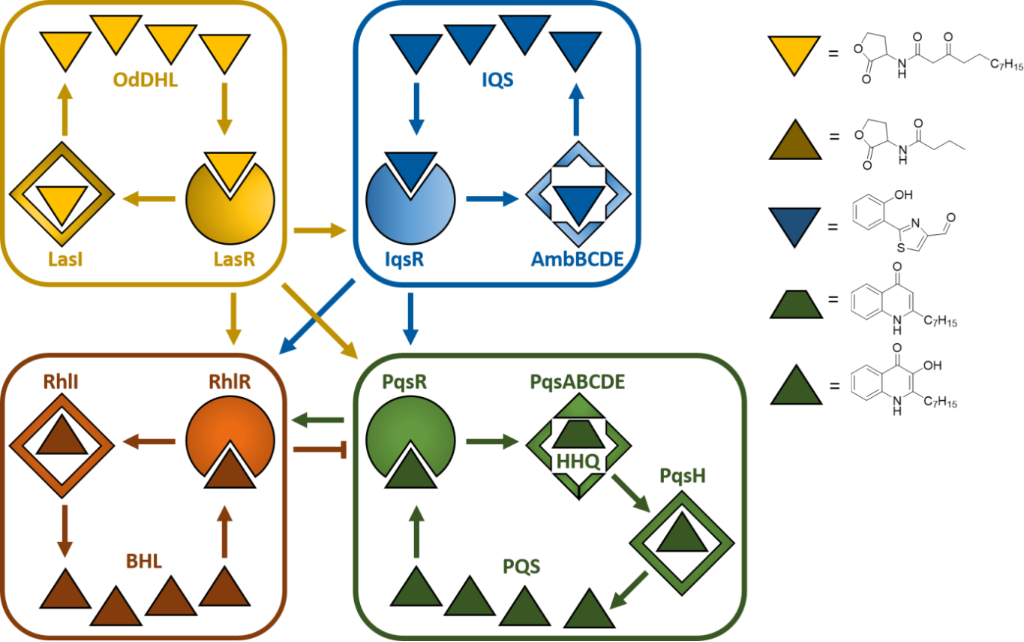 [1860-5397-14-241-1]