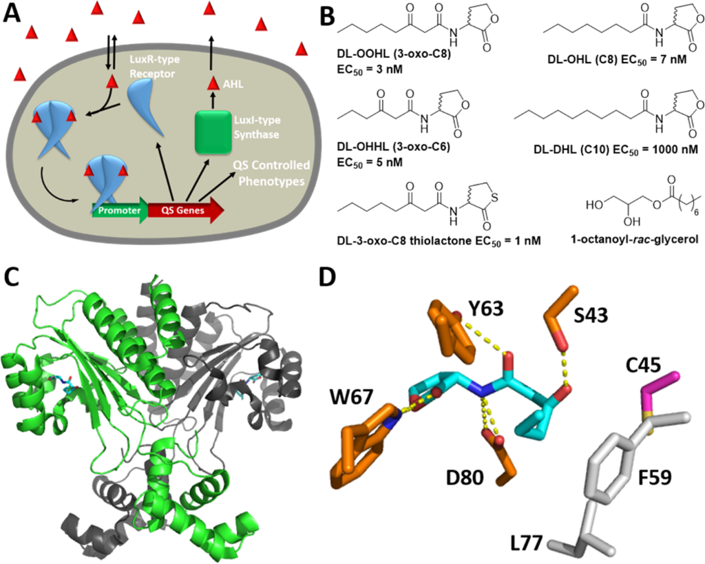 [1860-5397-14-243-1]