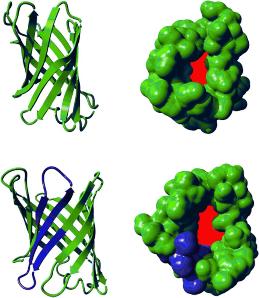 [1860-5397-14-265-2]