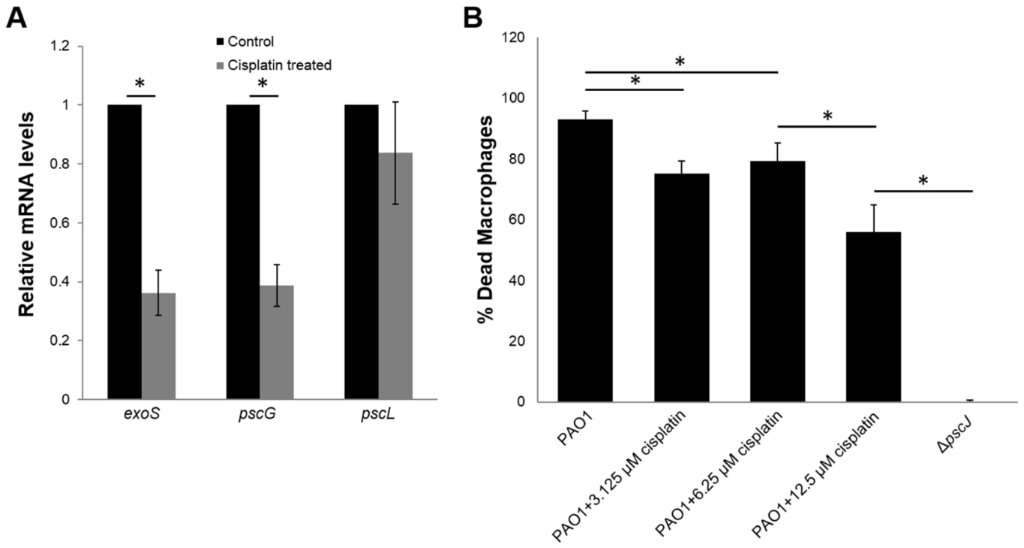 [1860-5397-14-284-5]