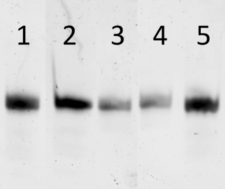 [1860-5397-15-108-5]