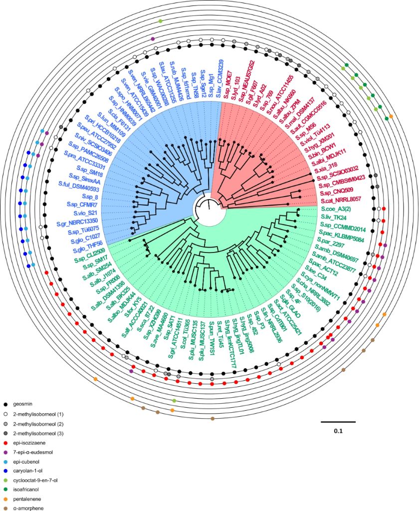 [1860-5397-15-115-1]