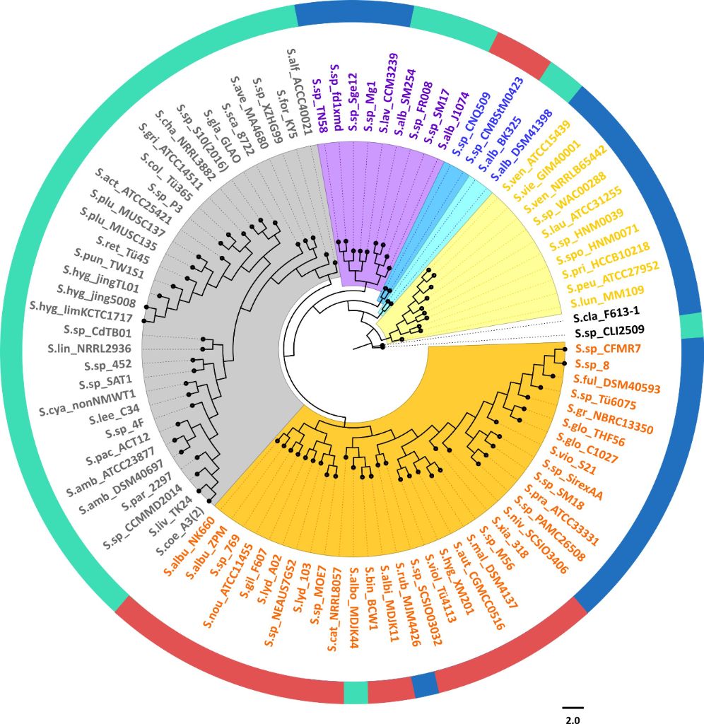 [1860-5397-15-115-3]