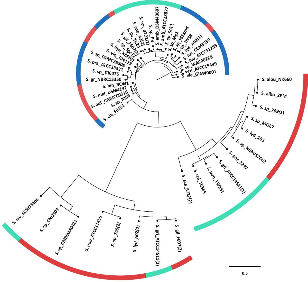 [1860-5397-15-115-4]