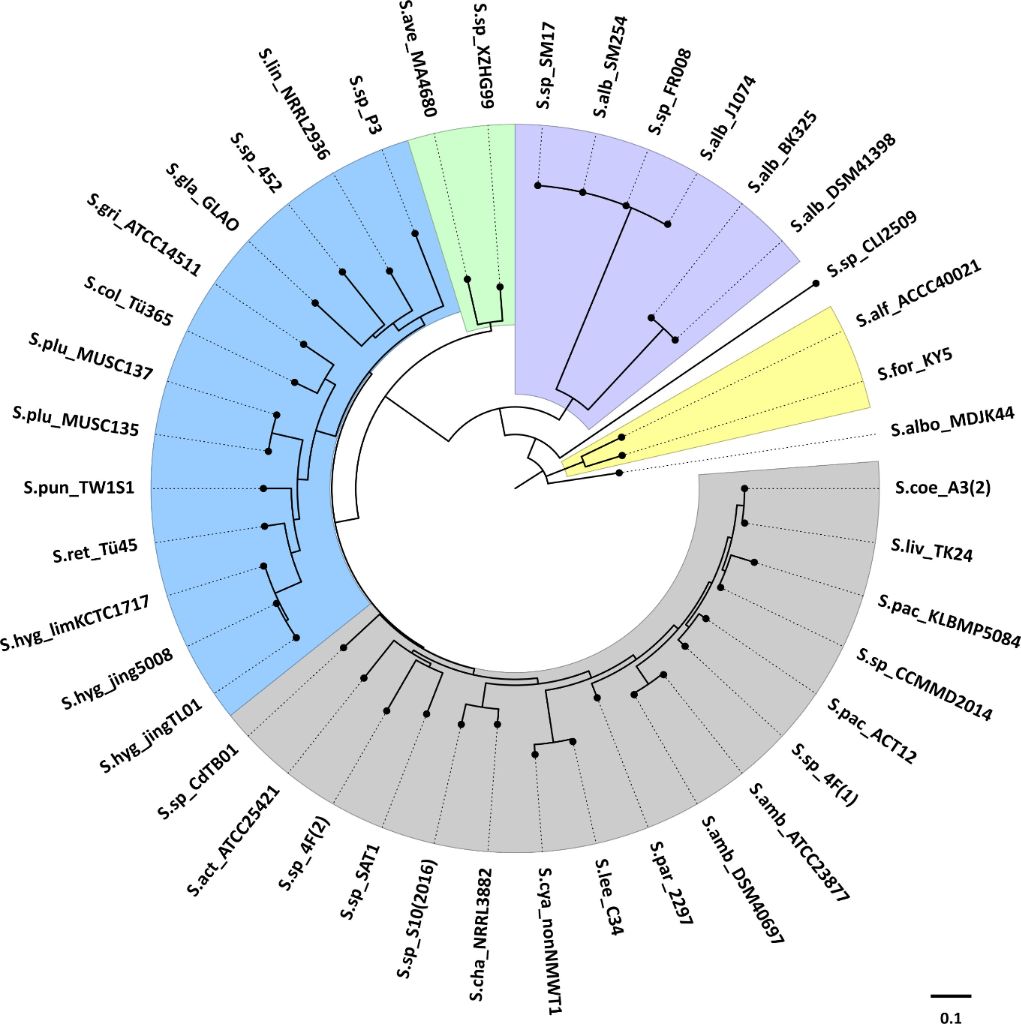 [1860-5397-15-115-5]