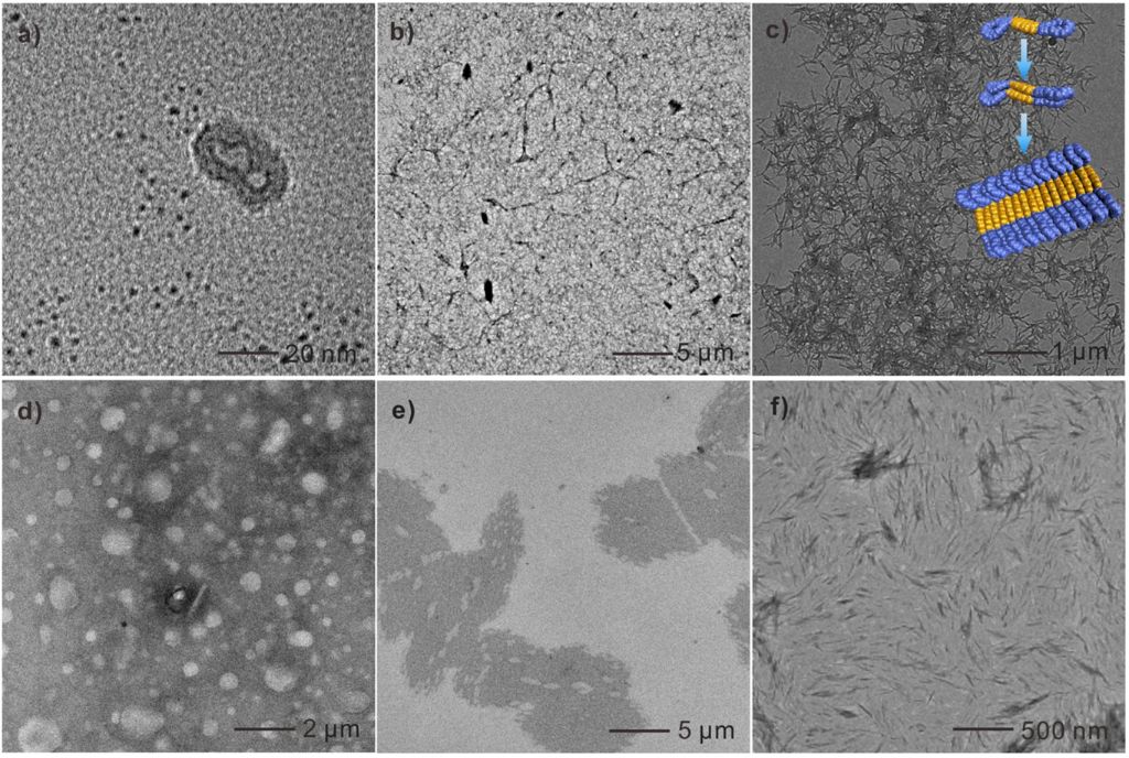 [1860-5397-15-117-2]