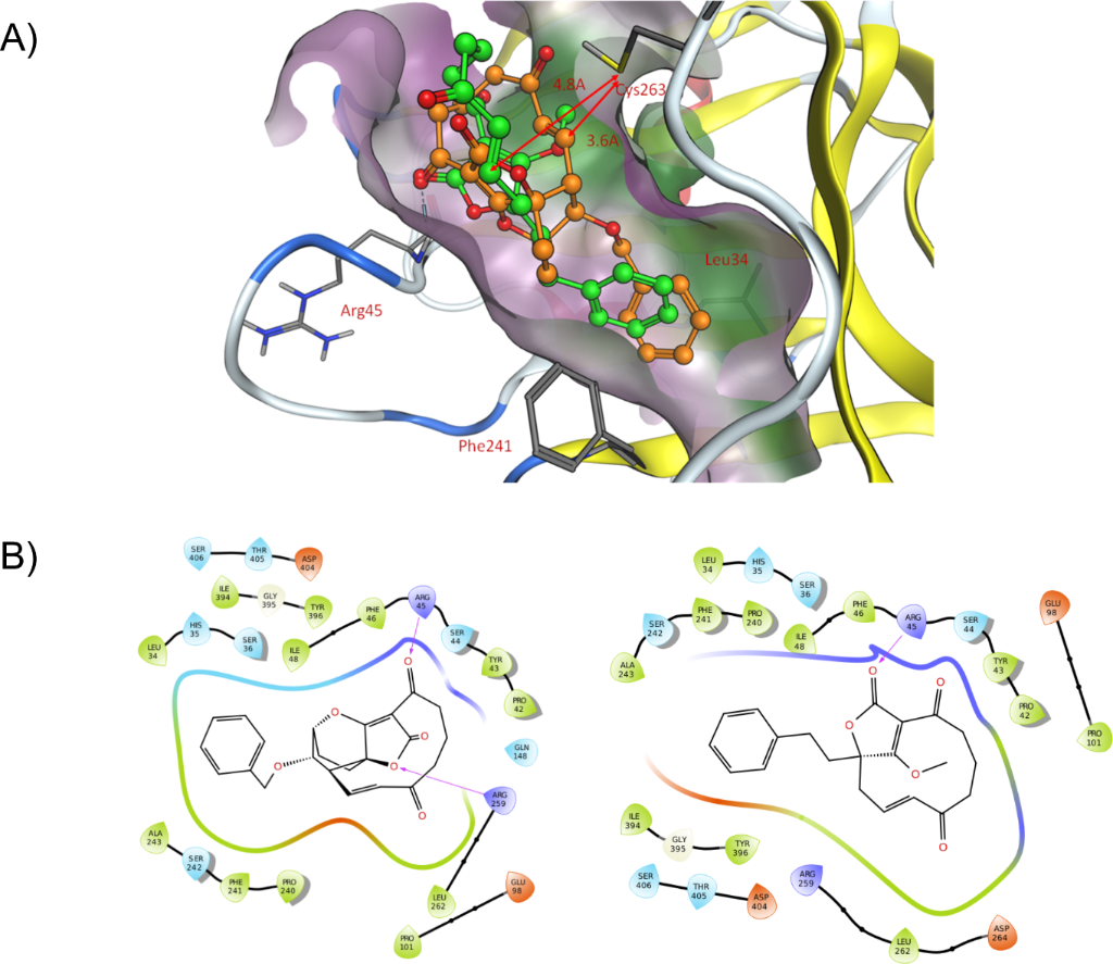 [1860-5397-15-147-2]