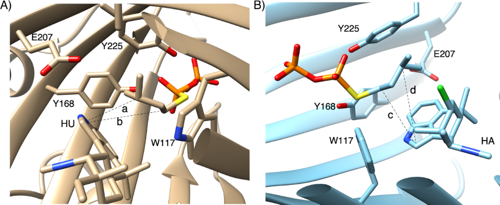 [1860-5397-15-157-5]