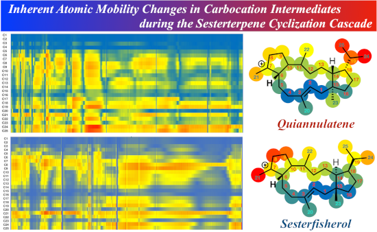 Graphical Abstract