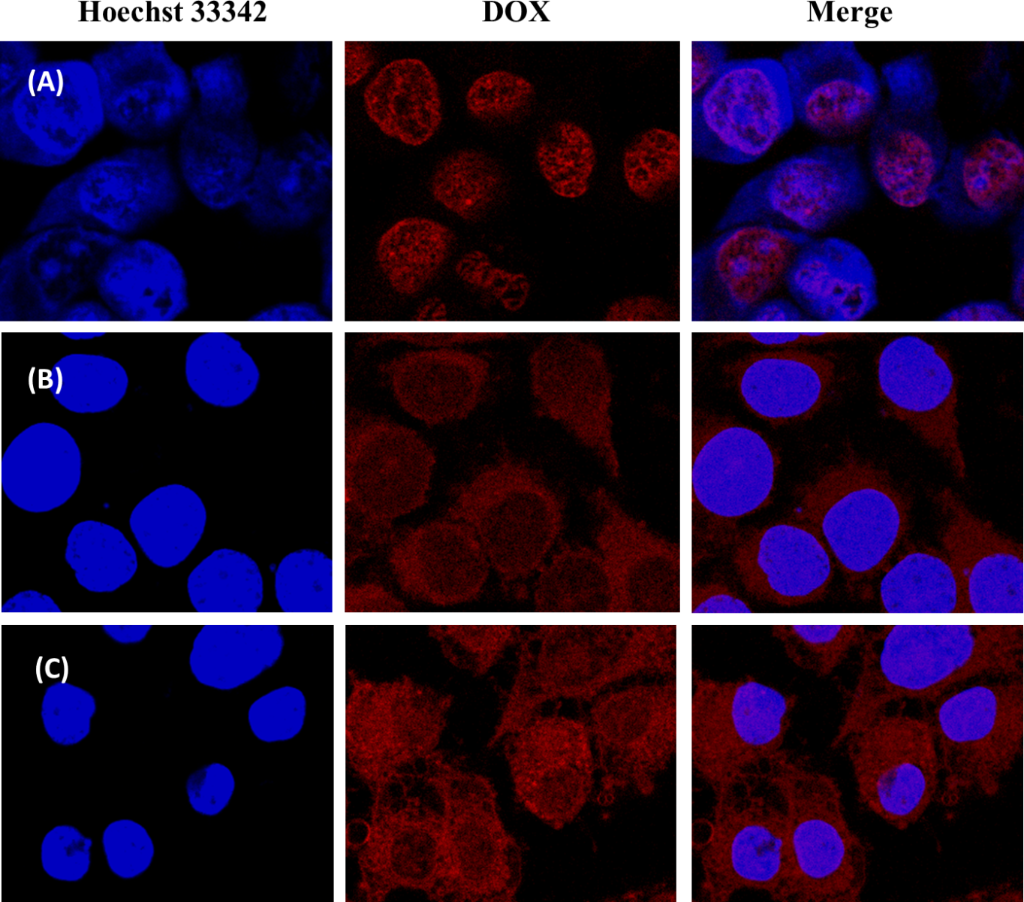 [1860-5397-15-188-6]