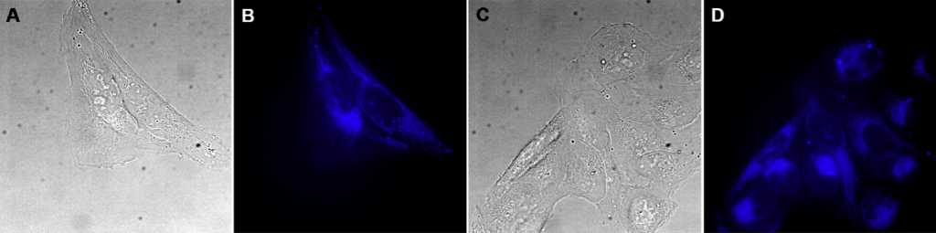 [1860-5397-15-189-2]