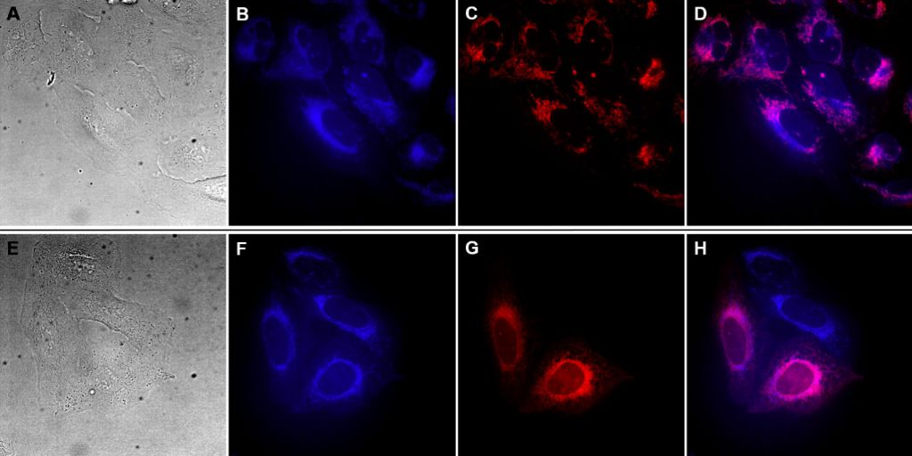 [1860-5397-15-189-3]