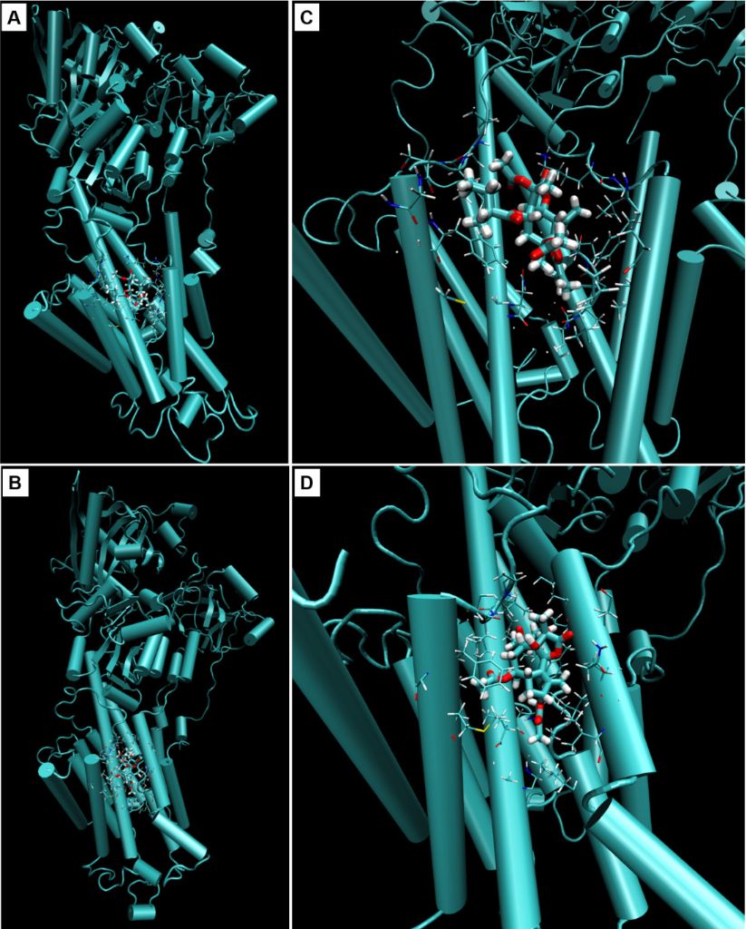 [1860-5397-15-189-4]