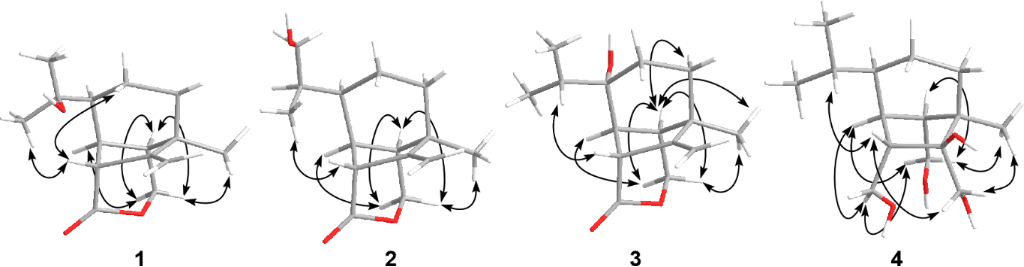 [1860-5397-15-198-3]