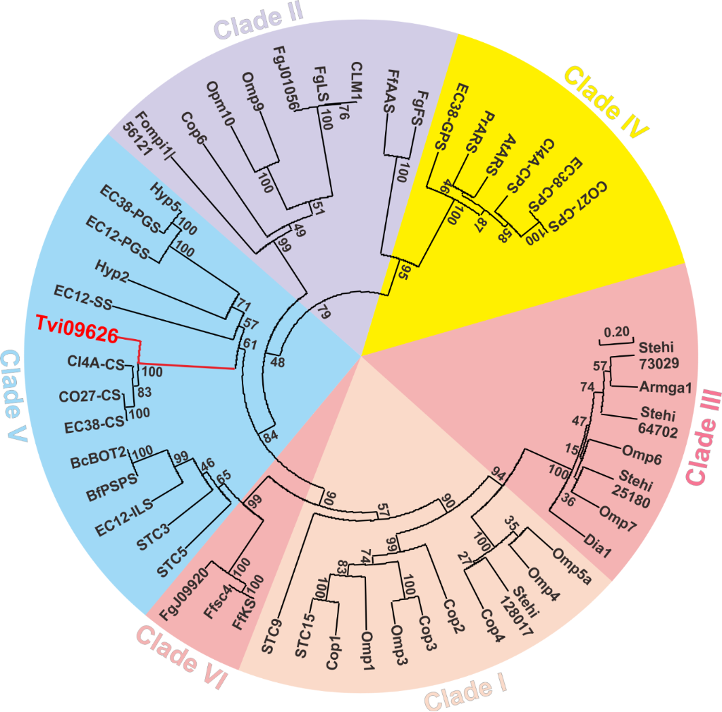 [1860-5397-15-202-2]