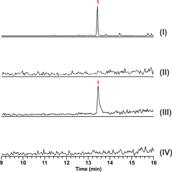 [1860-5397-15-202-3]