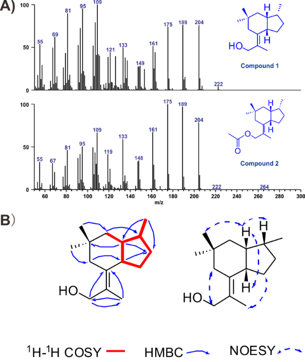 [1860-5397-15-202-4]