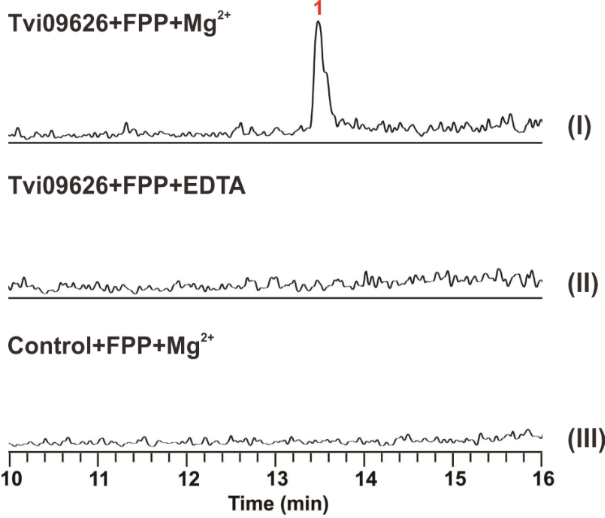 [1860-5397-15-202-5]