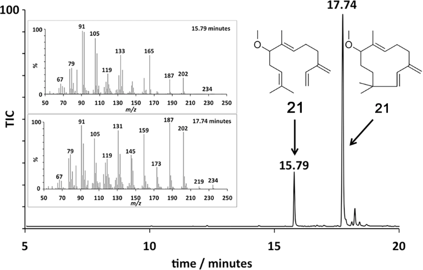 [1860-5397-15-215-1]