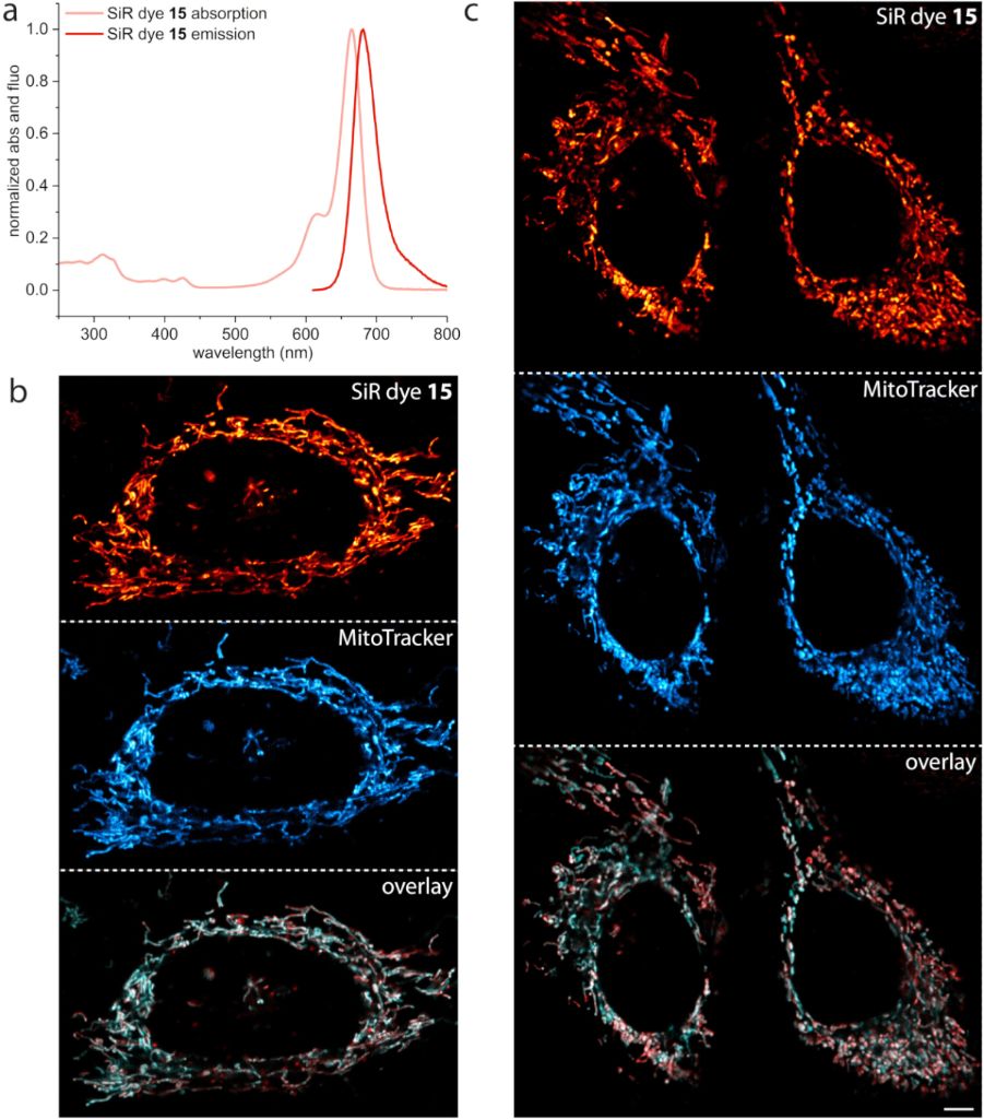 [1860-5397-15-226-1]