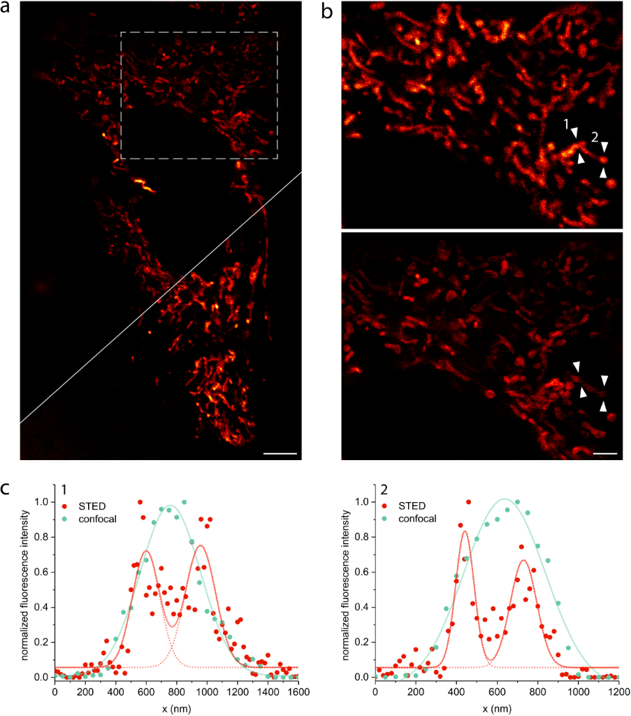 [1860-5397-15-226-2]