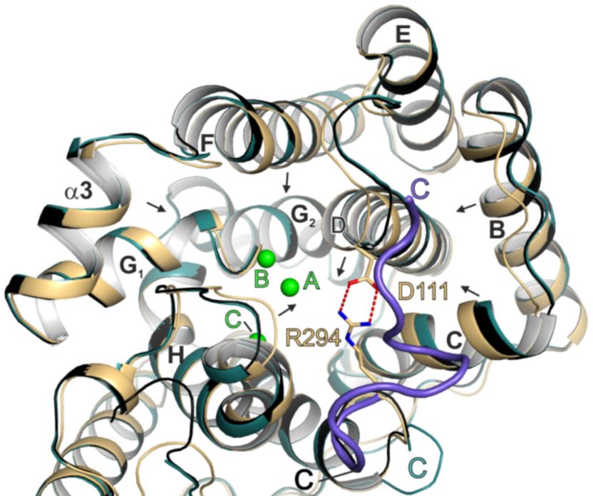 [1860-5397-15-228-3]