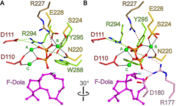 [1860-5397-15-228-5]