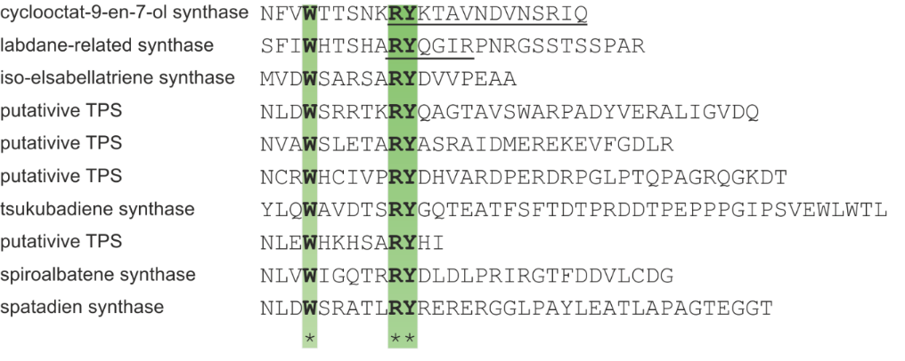 [1860-5397-15-228-6]