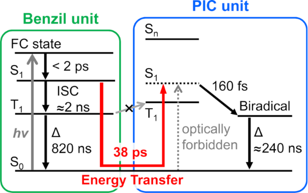 [1860-5397-15-229-5]