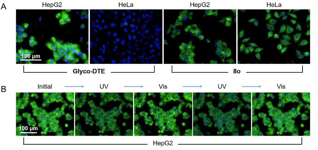 [1860-5397-15-230-4]