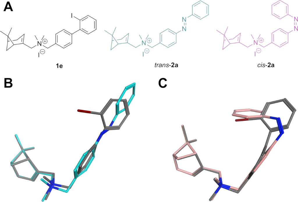 [1860-5397-15-244-2]
