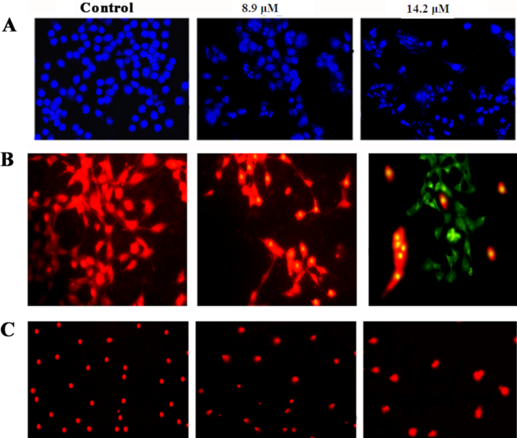 [1860-5397-15-245-6]