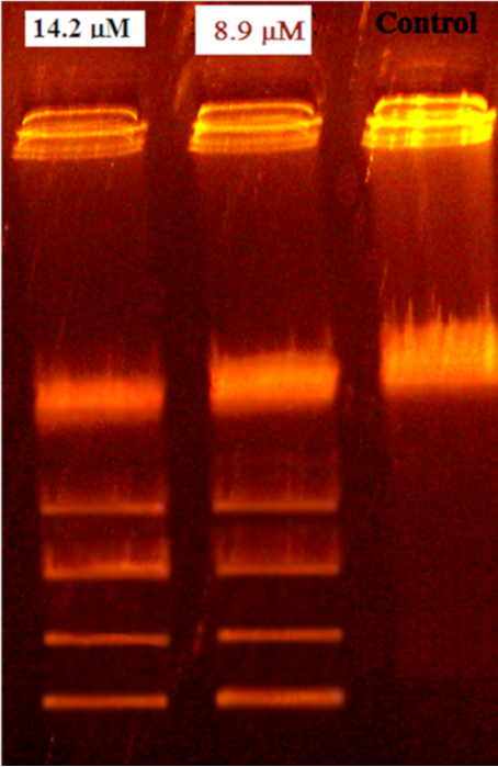 [1860-5397-15-245-7]