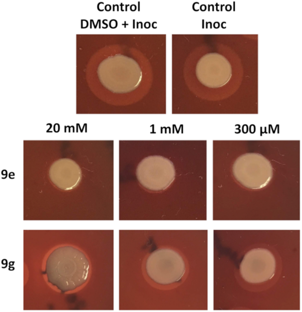 [1860-5397-15-247-2]