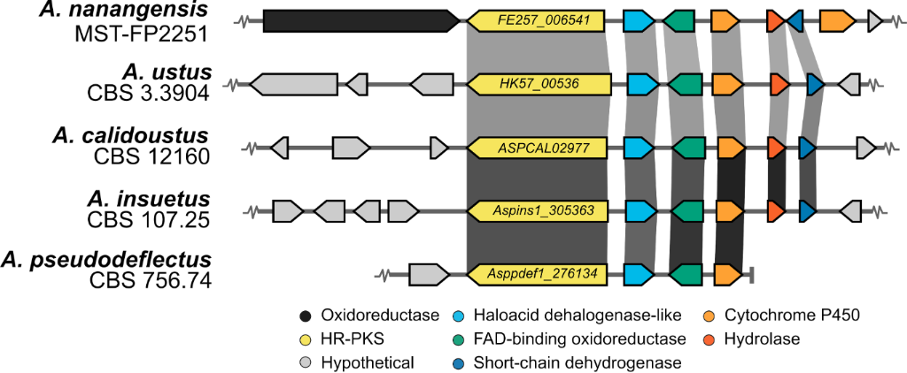 [1860-5397-15-256-2]