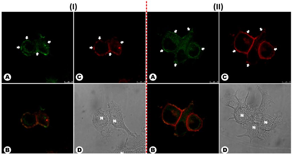 [1860-5397-15-257-7]