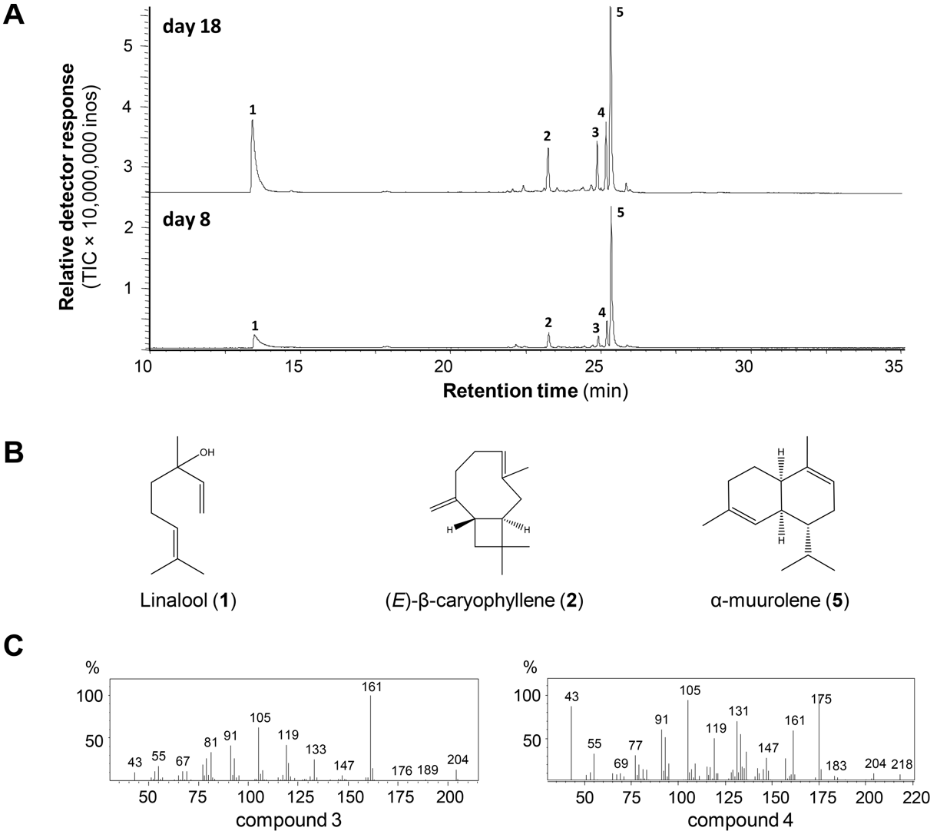 [1860-5397-15-281-1]