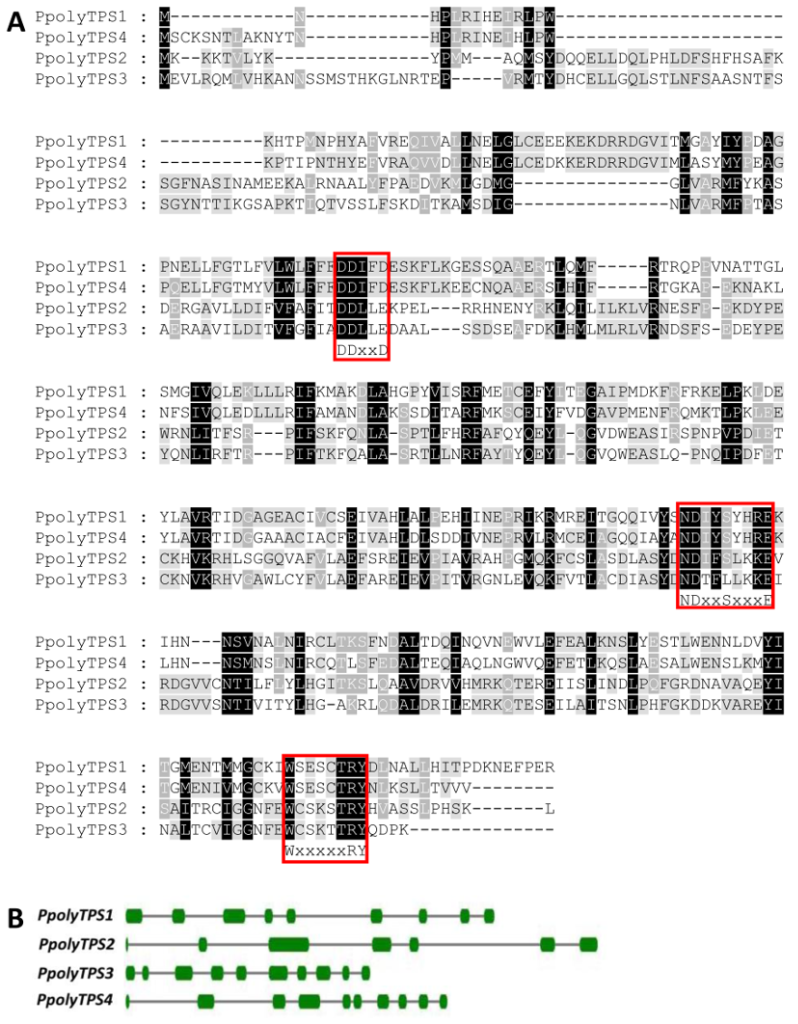 [1860-5397-15-281-2]