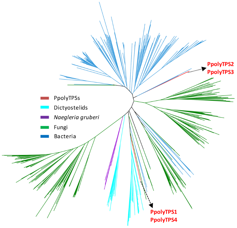 [1860-5397-15-281-4]