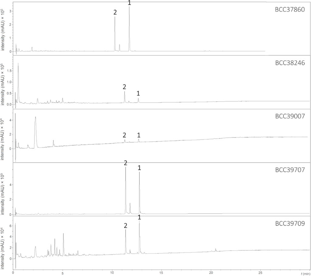 [1860-5397-15-293-5]