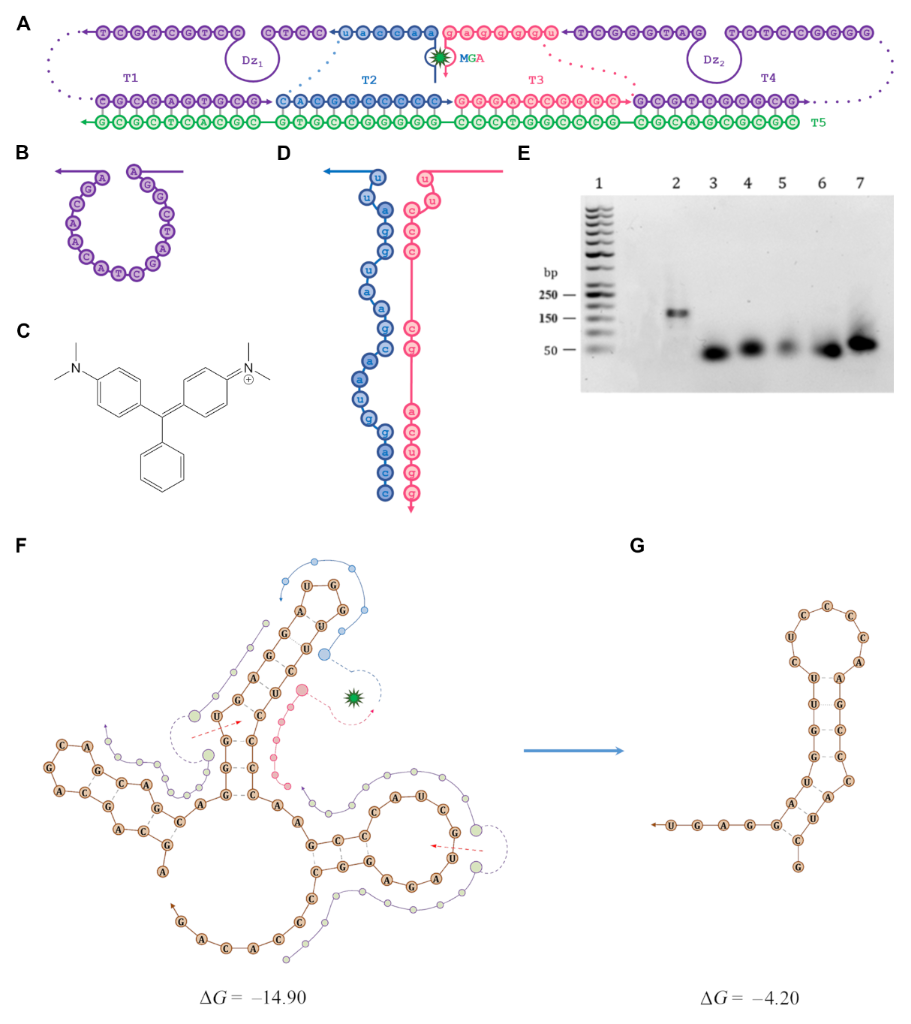 [1860-5397-16-100-1]