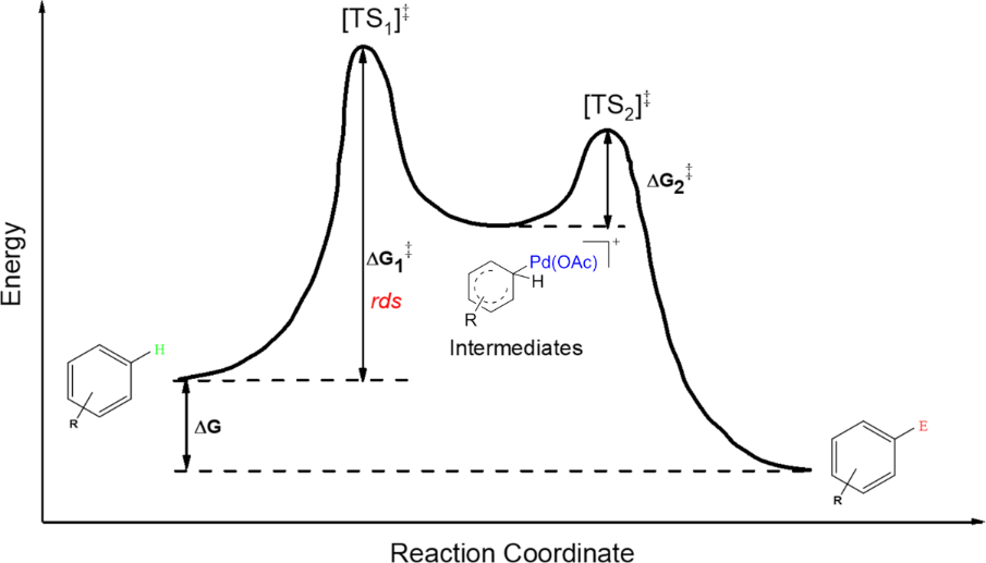 [1860-5397-16-122-1]