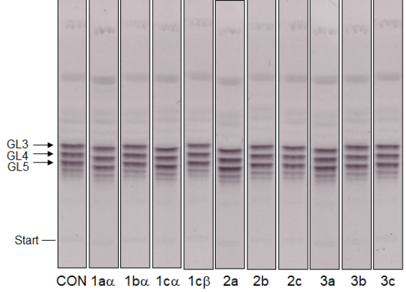 [1860-5397-16-152-3]