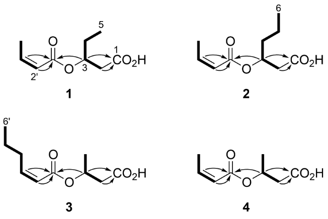 [1860-5397-16-154-2]