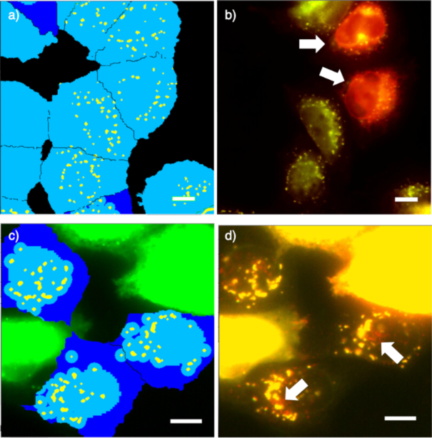 [1860-5397-16-167-10]